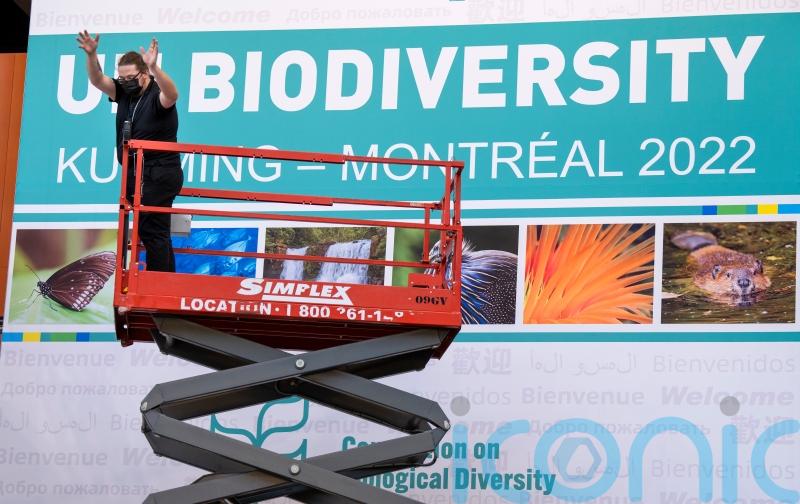 What is the UN nature conference in Montreal and what will it achieve?