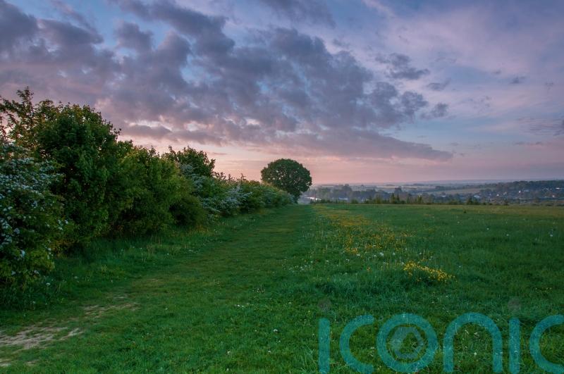 Campaigners call for target to increase hedgerows by 40% by 2050