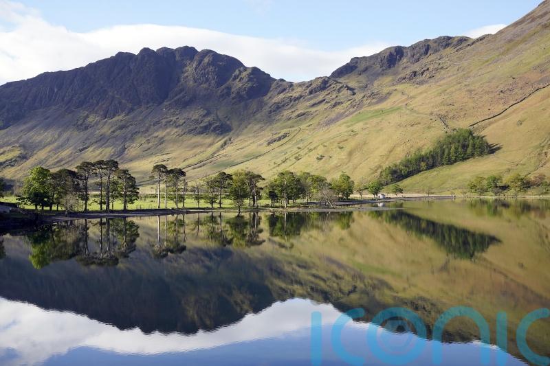 Restoring nature is ‘investment’ in UK economy and society, leaders told