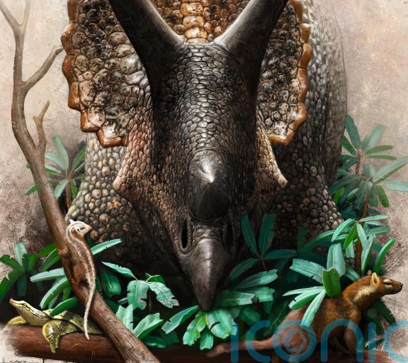 Dinosaurs were in their prime before asteroid downfall, study finds