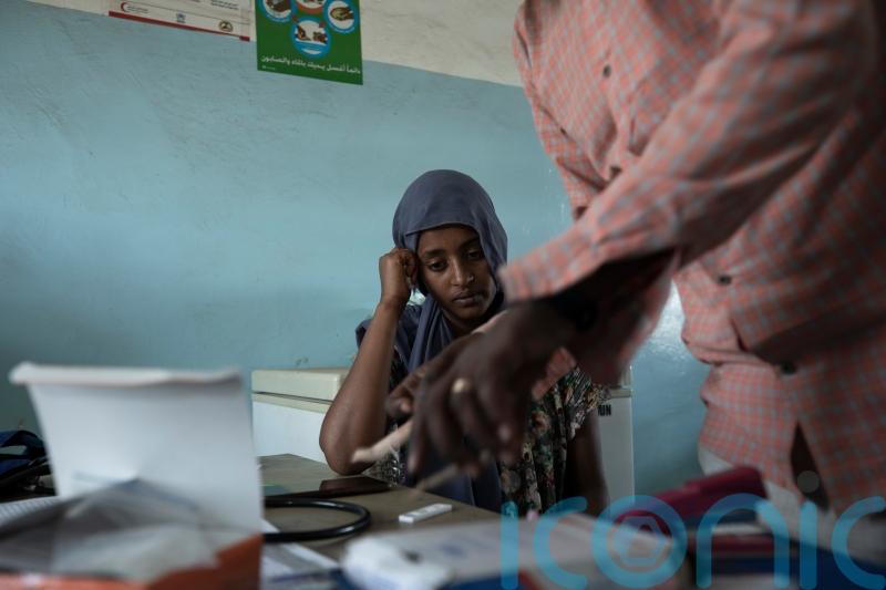 WHO: Covid disruption resulted in 63,000 more malaria deaths