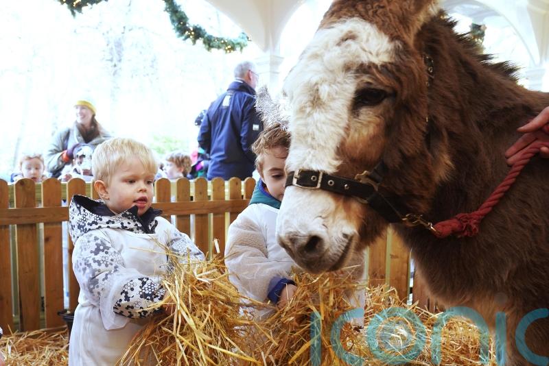 Live animal crib opens in Dublin’s Stephen’s Green park