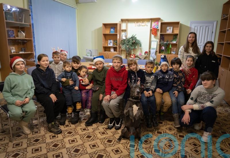 Dog therapy comforts children facing trauma of war in Ukraine