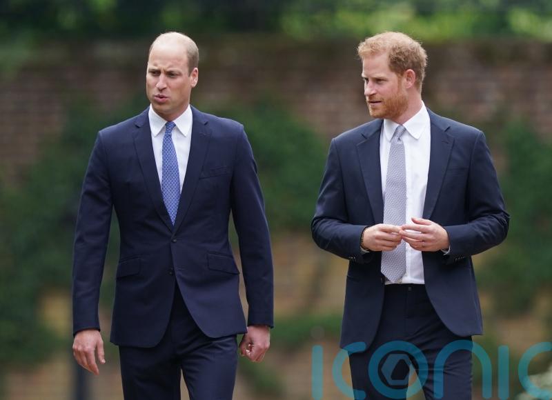 Harry ‘left terrified by screaming William’ in bombshell Netflix claims