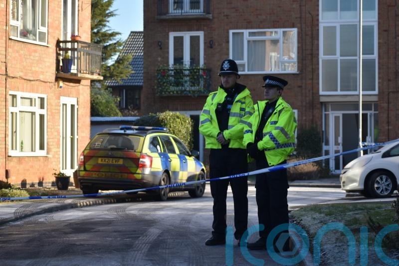Community in shock after deaths of woman and two children aged four and six