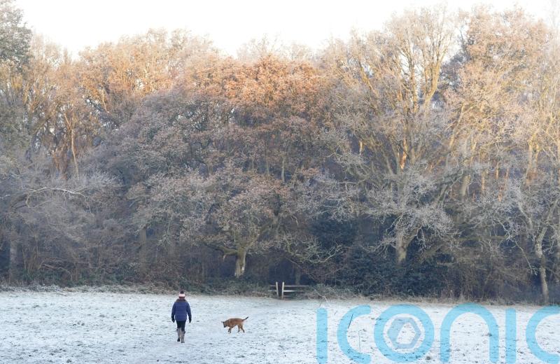 Snows disrupts travel and closes schools amid weather warnings