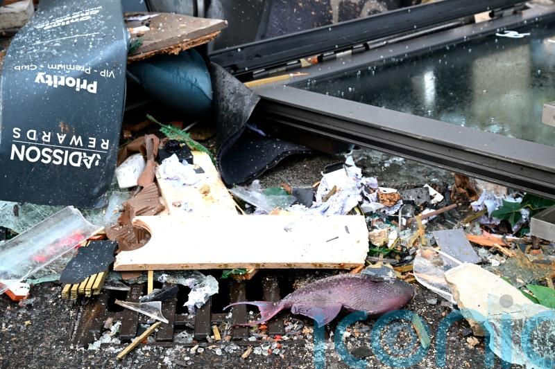 US company to send team to look into Berlin aquarium rupture