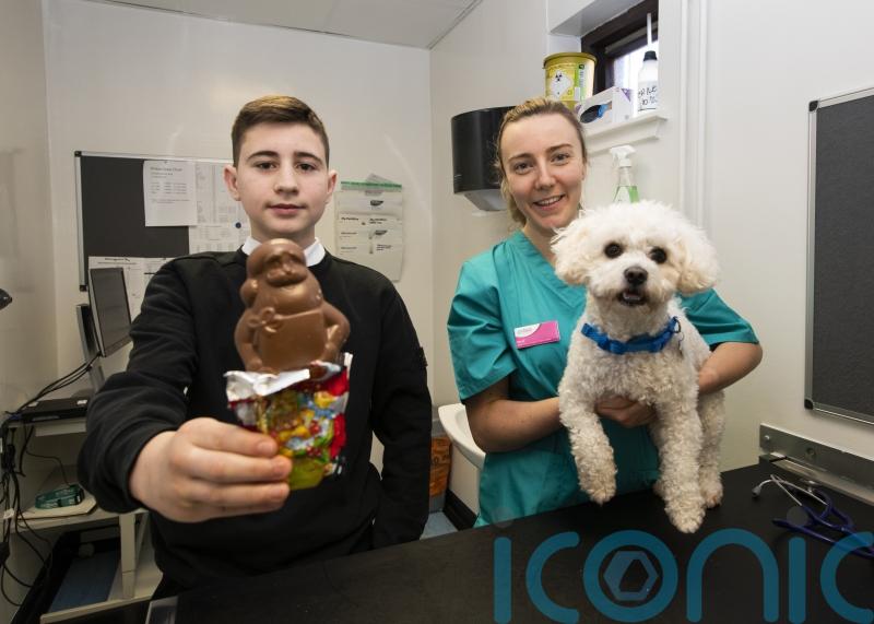 Veterinary charity warns pet owners over danger of festive treats