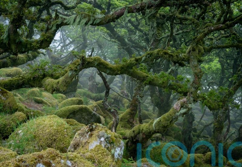 Turn nature pledges into action, governments urged after ‘landmark’ deal struck