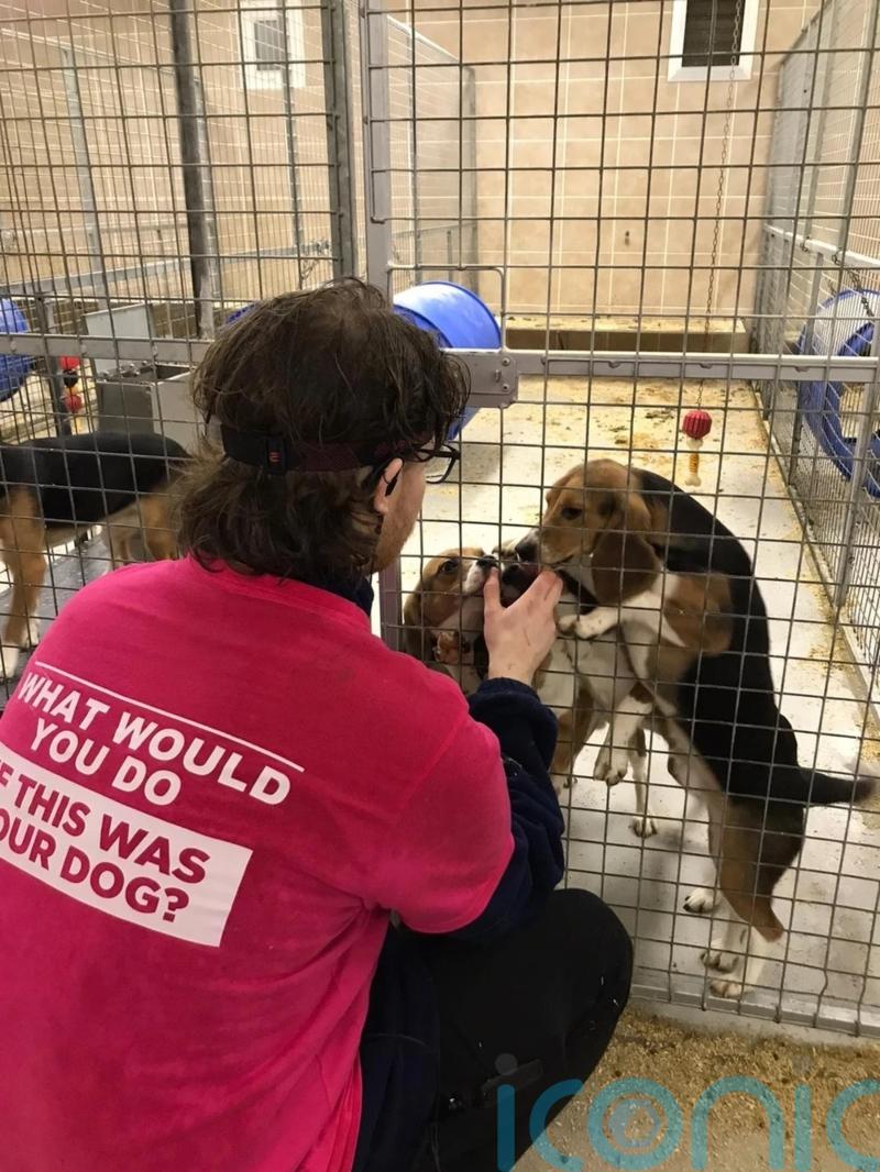 Police arrest 14 people after dogs are stolen from a research facility