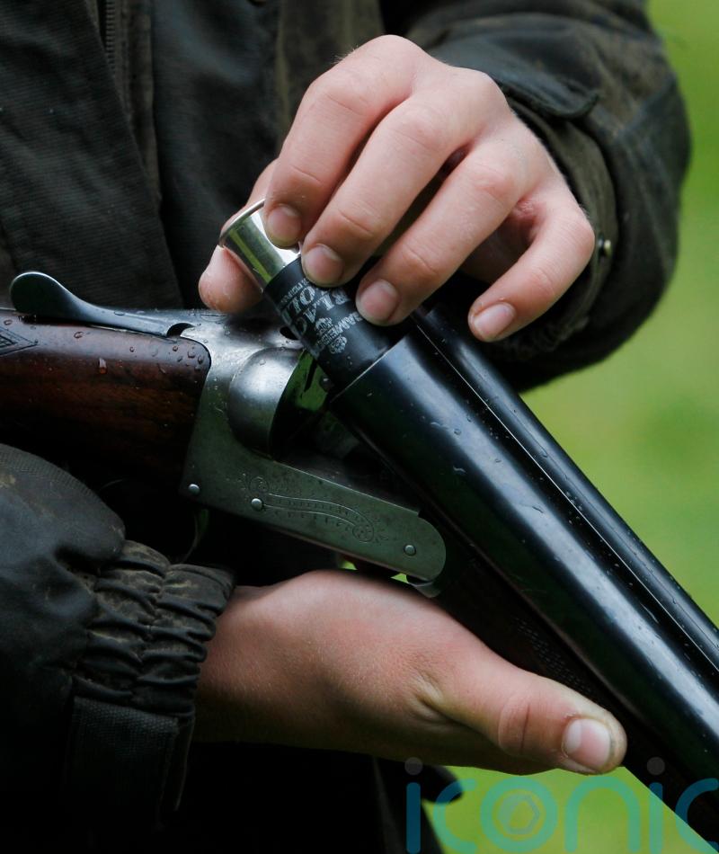 Two-tier firearms applications system recommended by MPs