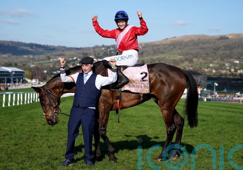 ‘No pressure’ - Waterford trainer De Bromhead to make late Leopardstown call on Gold Cup champ