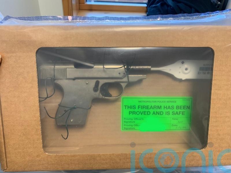 Eight guns and ammunition haul seized in south London during dawn police raid