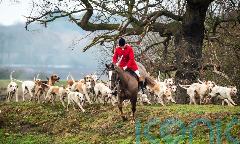 Fresh demands to strengthen hunting law amid Boxing Day parades