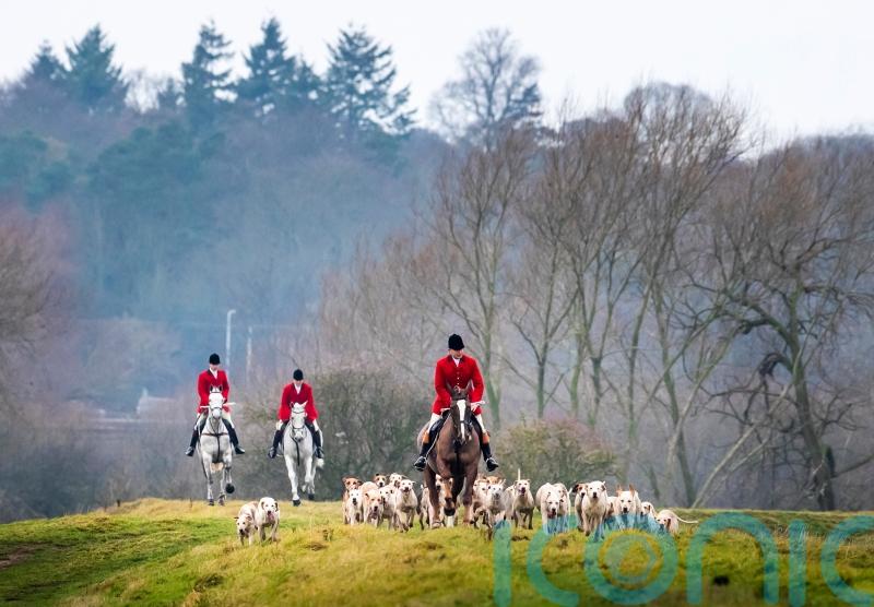 Hundreds of suspected illegal fox hunts took place in UK over month, group says