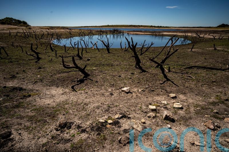 ‘More extreme weather to come’ as 2022 set to be UK’s hottest year on record