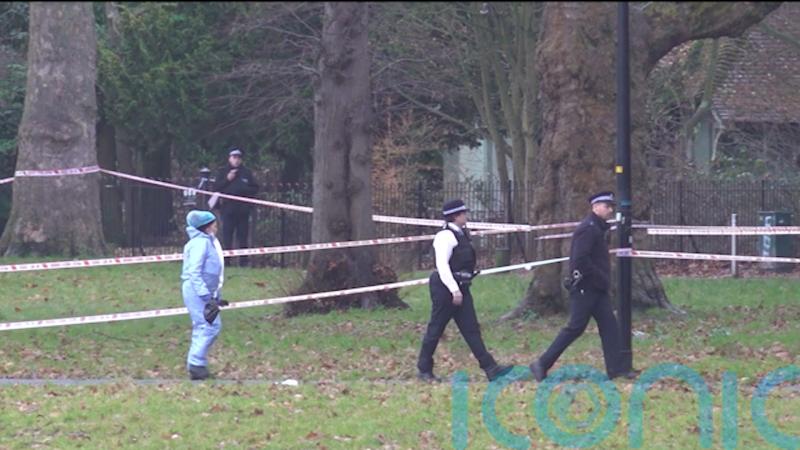 Man, 29, dies after being stabbed in heart in London park
