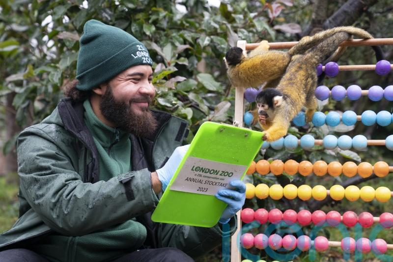 In Pictures: Don’t forget to count us… animals help staff carry out stocktake