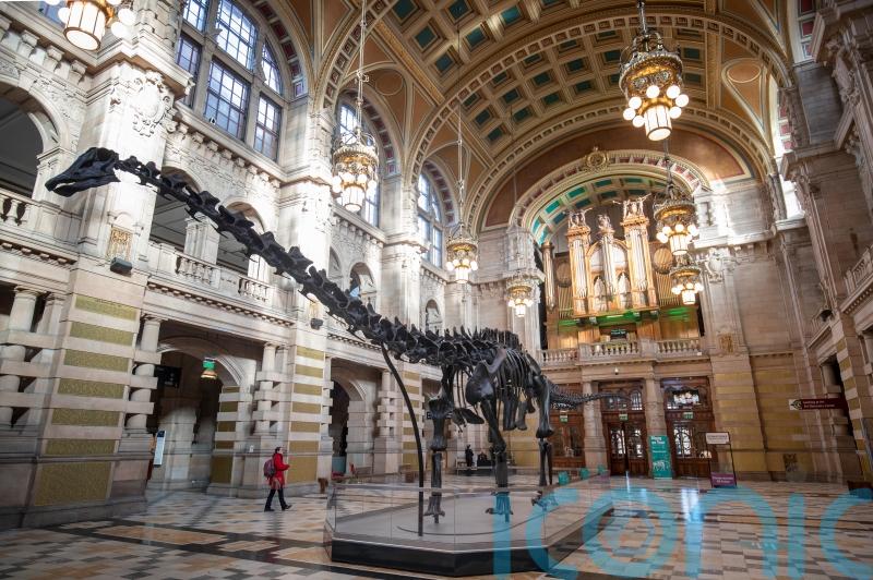 UK’s ‘most popular’ dinosaur Dippy heading to Coventry