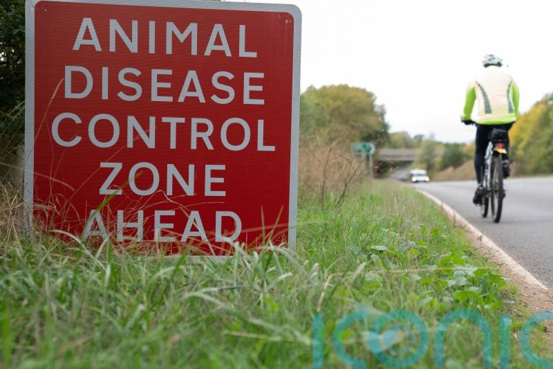 Bird flu confirmed in commercial poultry in Norfolk