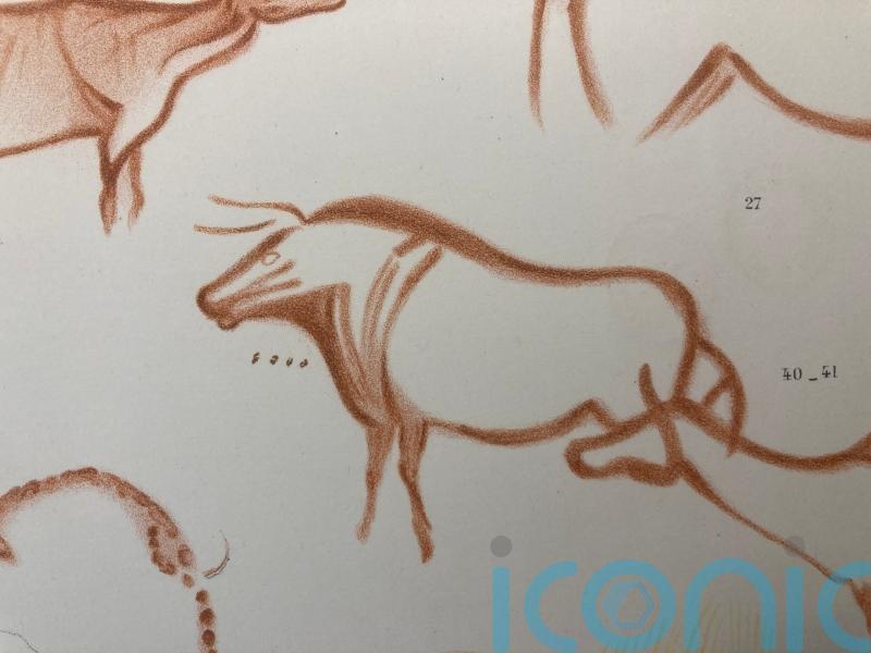 Ice Age hunters used cave paintings to time life cycles of animals, study shows