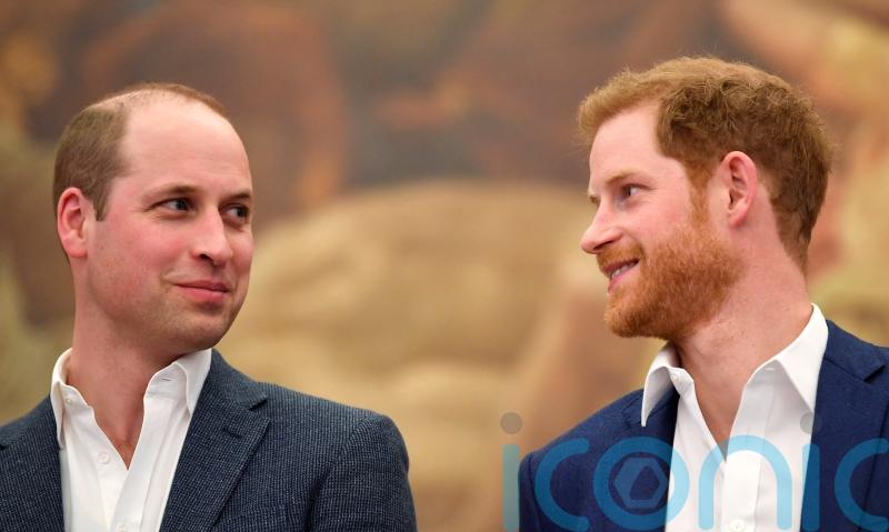 Harry was left with ‘scrapes and bruises’ after William’s alleged assault on him