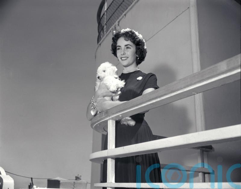 Mary McCartney to curate exhibition of photos from Cunard archives
