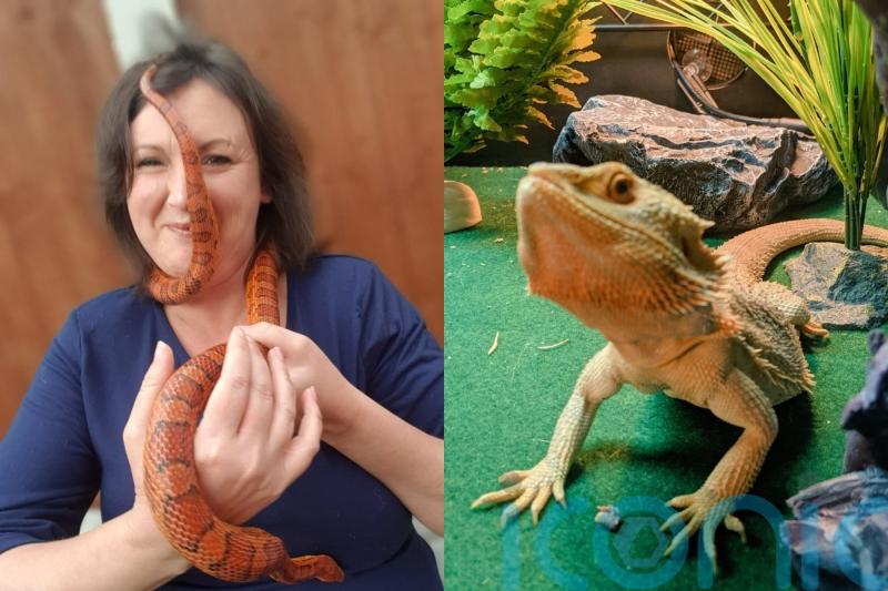 Animal talent agent who adopted pets to cope after her dad’s death has personal ‘zoo’ with more than 40 exotic creatures