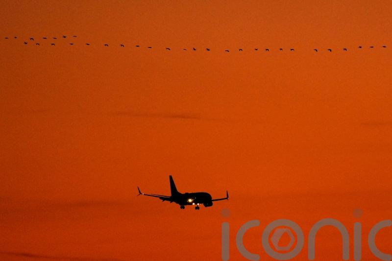 US flights delayed amid aviation authority computer outage