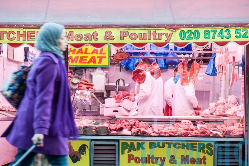 Halal and kosher meat labelling reforms under consideration, MPs told