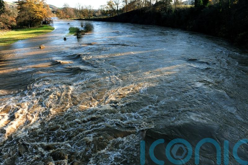 Woodland ‘sponge’ effect can save £100m by preventing floods, research finds