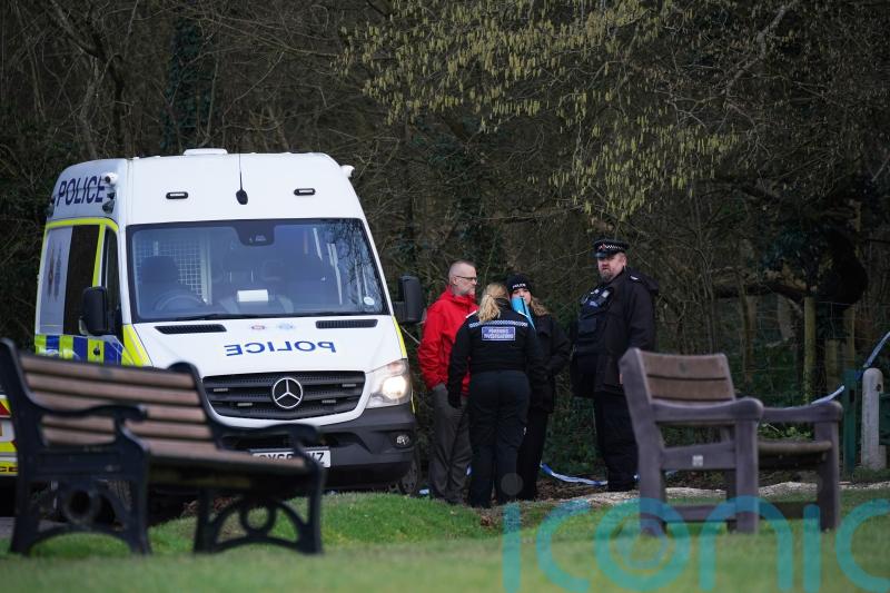 Woman killed in dog attack was walking number of dogs, police say