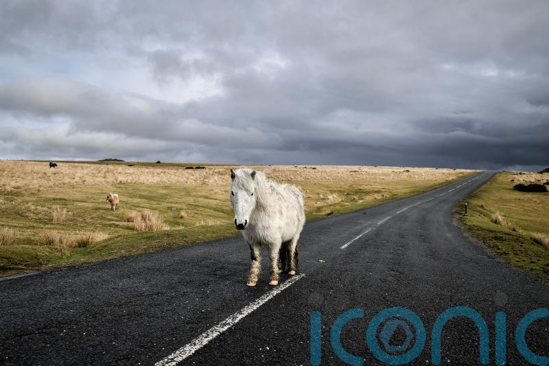Dartmoor wild camping ruling ‘huge step backward’
