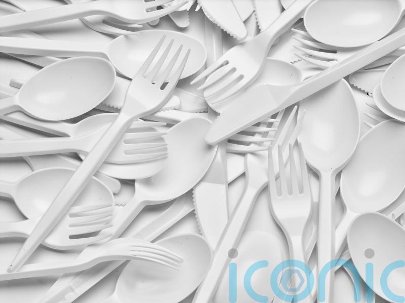 Single-use plastic plates, trays and cutlery set to be banned from October