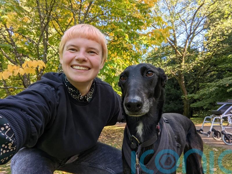 Horror turns to relief for owner after dog plunges from 60ft cliff, survives and embarks on miraculous full recovery