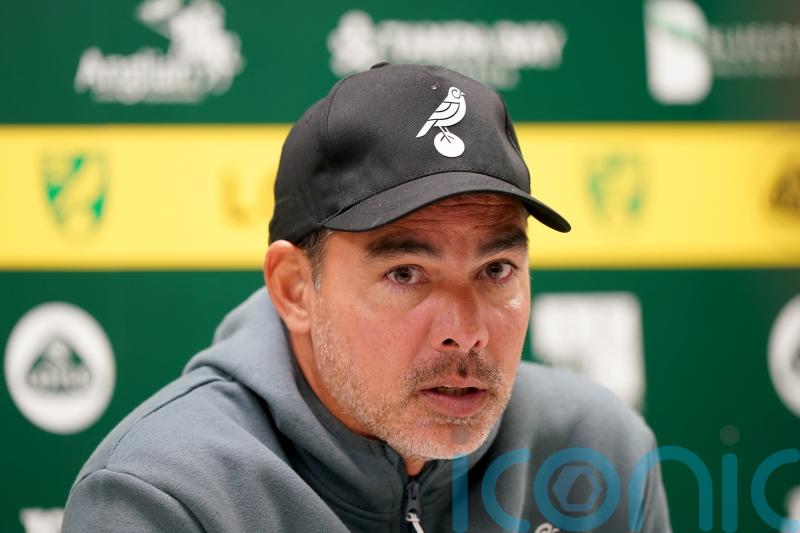 David Wagner wants Norwich win to be springboard for strong end to season