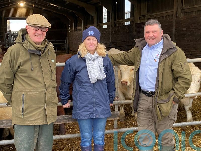 Former Marines join farming charity to deliver mental health first aid