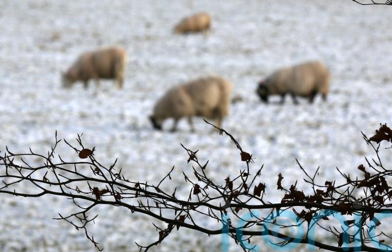 Scottish Government to invest £14m in sustainable farming