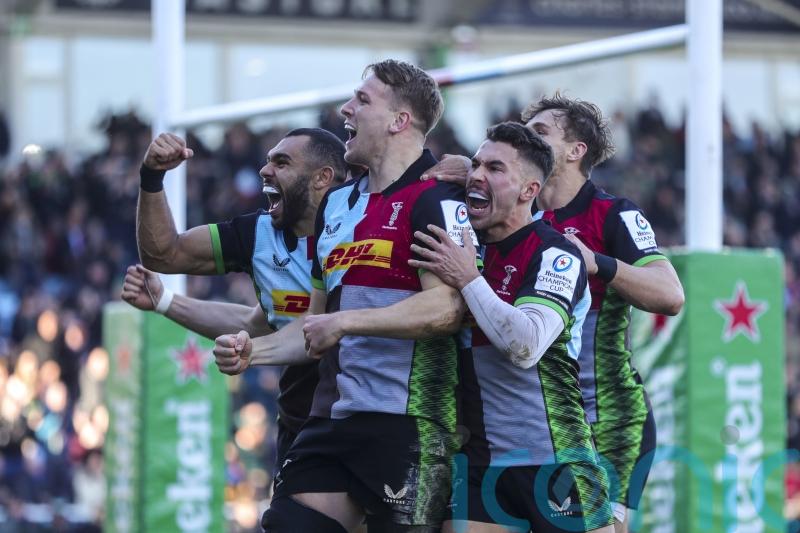 Harlequins cruise into last 16 of Heineken Champions Cup