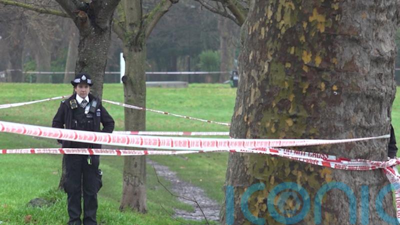 Two teenagers appear in court charged with murder after man stabbed in park