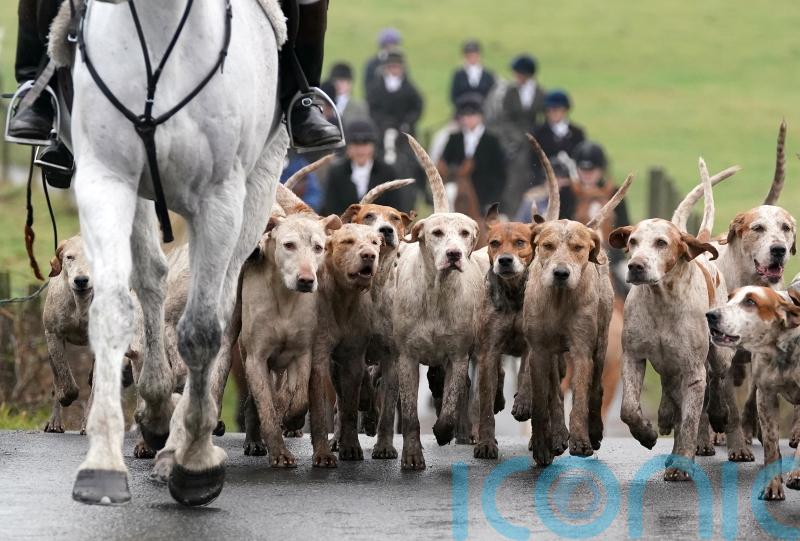 Bill intended to tighten laws over hunting with dogs set for final vote
