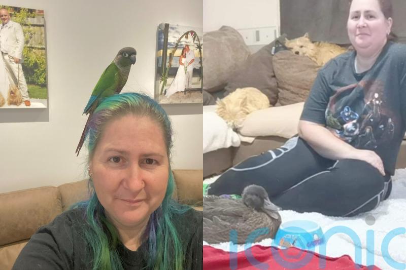 ‘Group hypnotherapy with my dogs, ducks and chickens has helped me overcome chronic pain and changed my life’