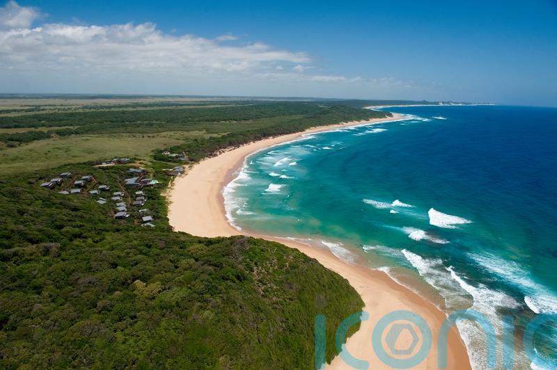 Why up and coming Mozambique has the perfect blend of surf, city and safari