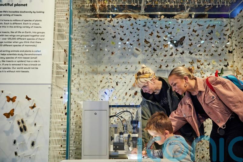Museums unite in UK’s largest art collaboration to inspire environmental change