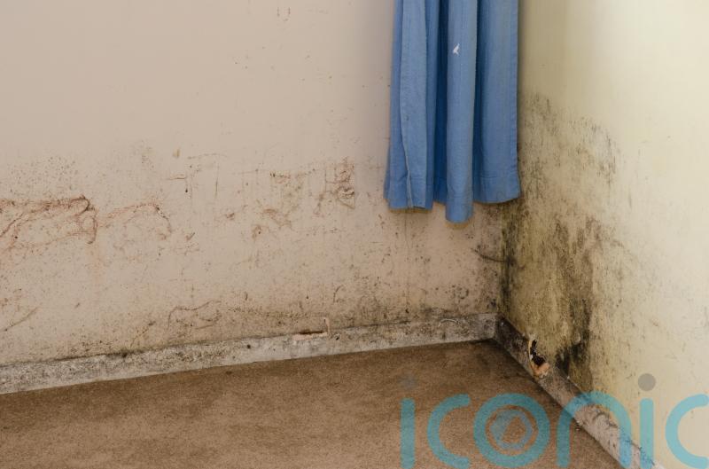 Householders warned of cold-callers claiming to deal with toxic mould