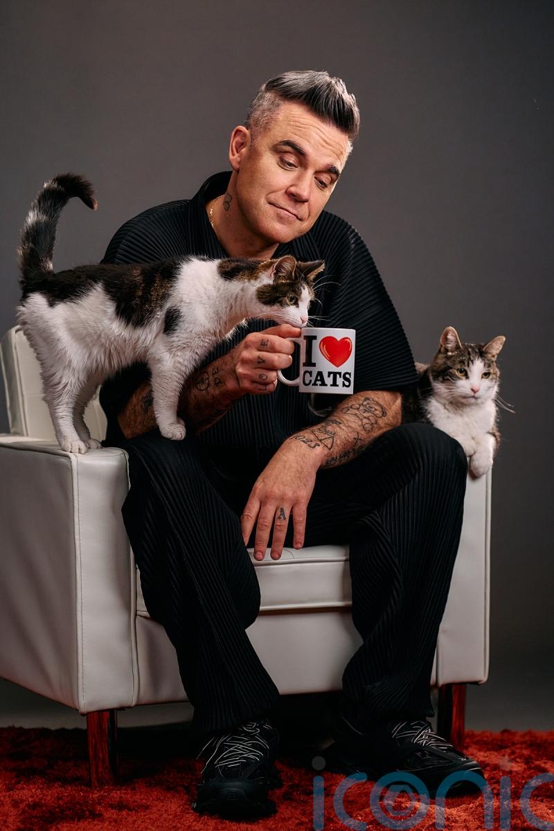 Robbie Williams stars as voice of Felix the cat in new pet food advert