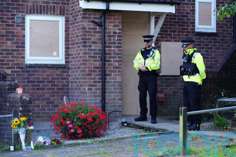 GP never knew killer Jake Davison was granted shotgun certificate, inquest told