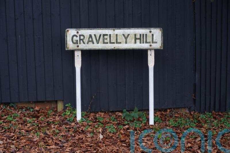 No prosecutions for Surrey dog attack, say police
