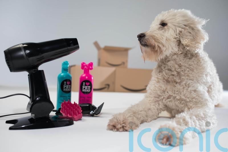 Owners cutting back on pet care over fear of rising bills, says charity