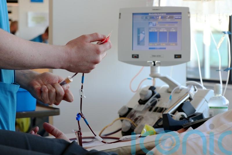 New patient safety commissioner must have sufficient resources, ministers told